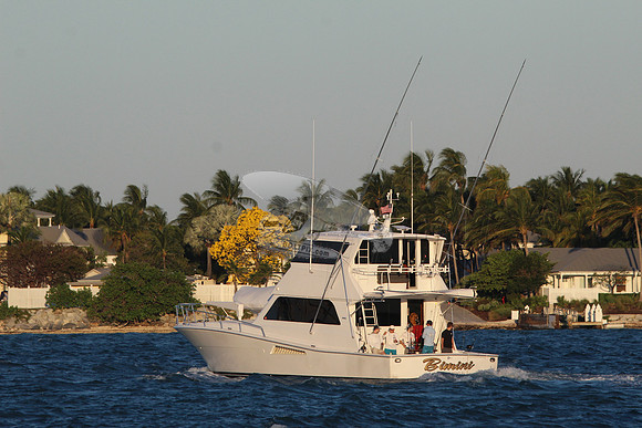 bimini.4528