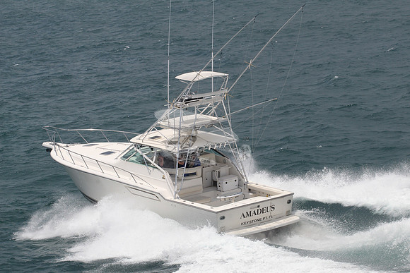 AMADEUS.KEYSTONE PT FL.16