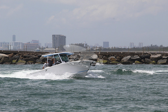 BLACKFIN.07