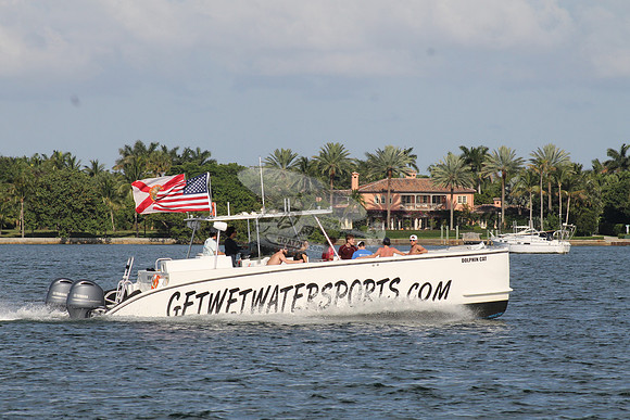 DOLPHIN CAT.SINGER ISLAND FL.05