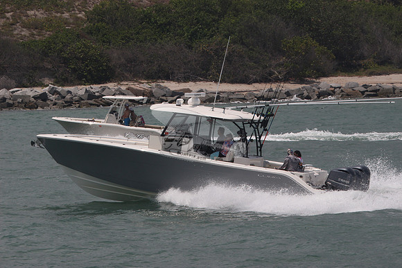 COBIA.GRAY.34