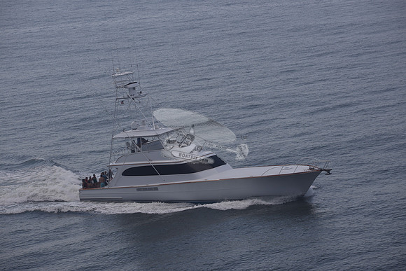 BEAST.PALM BEACH FL.022