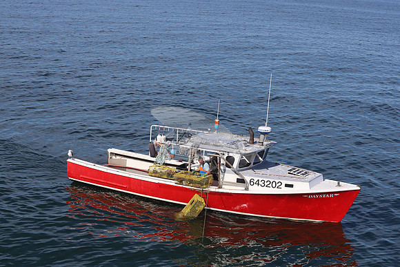 643202.DAYSTAR.1