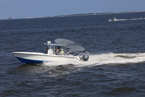 al0065rf.12