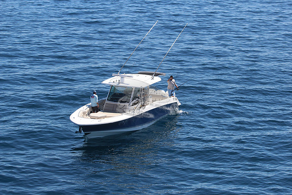 boston whaler.blue hull.3 merc 400.6218