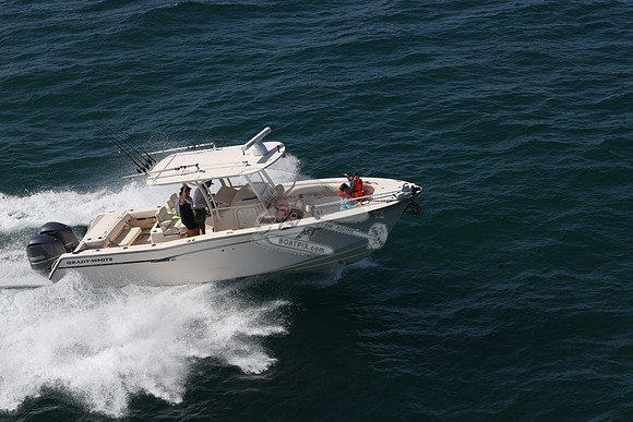 FL2215PG.16