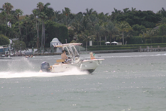 FL0786SX.13