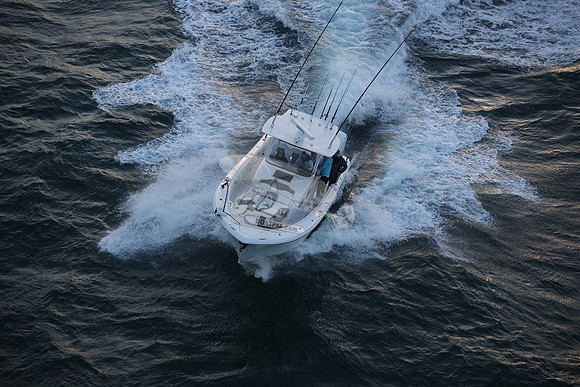 contingent seas.belleair bluffs .9043