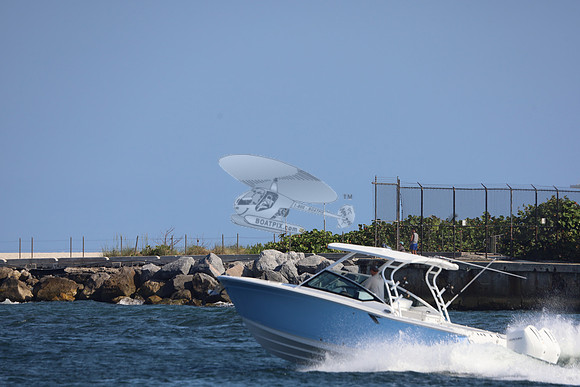 BLACKFIN.BLUE.12