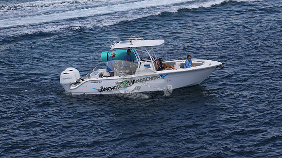ANCHOR MANAGEMENT.SEA FOX.11