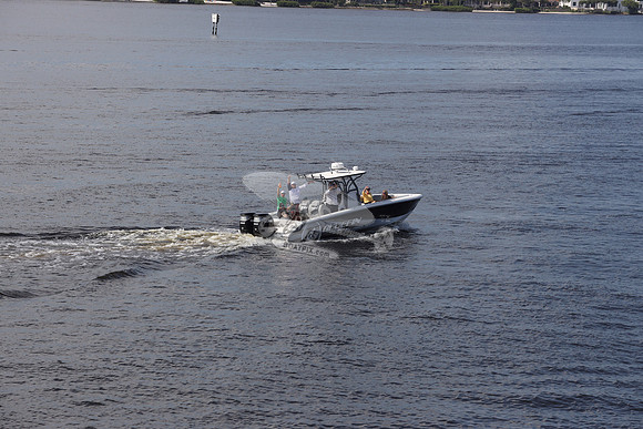 Bluefin marine.02