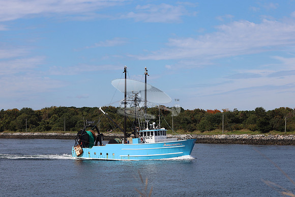 620472.marguerite c.4882