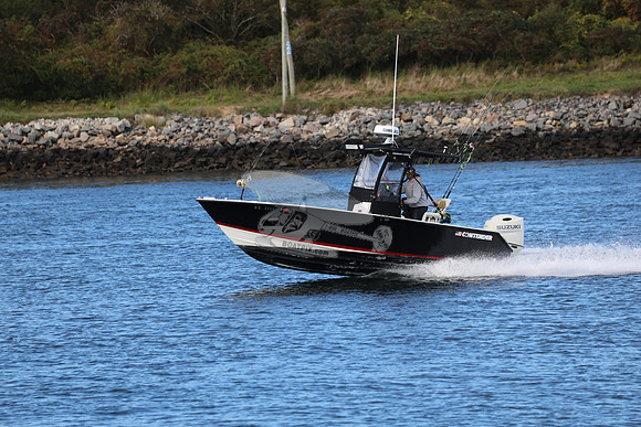 AF8A1681