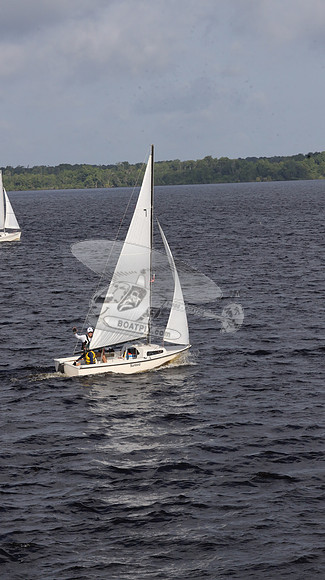 7.FL6271CP.SUNBIRD.04