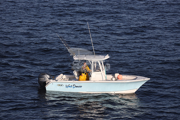 NC5632EK.WAVE DANCER.358
