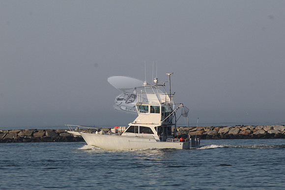 COMMERCIAL FISHING.GRAY.2