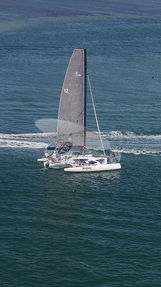 12.FL7451RF.TRIPLE THREAT.9336