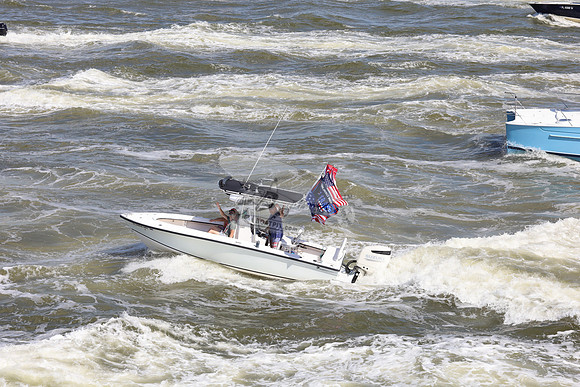 Dolphin Boats.2