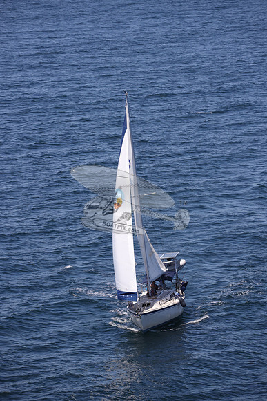 586.CAL 36.19