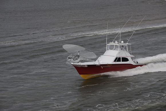 hog wild.manteo nc.3098