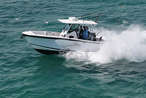 BLACKFIN.16