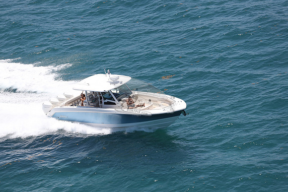 BOSTON WHALER.BLUE HULL.319
