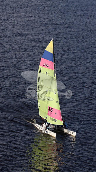 36.HOBIE.10