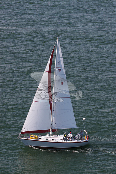 11.skalawag.4921