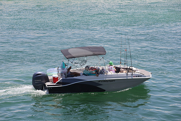 al2812vf.4