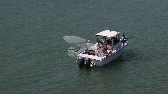 fl0646hj.1539