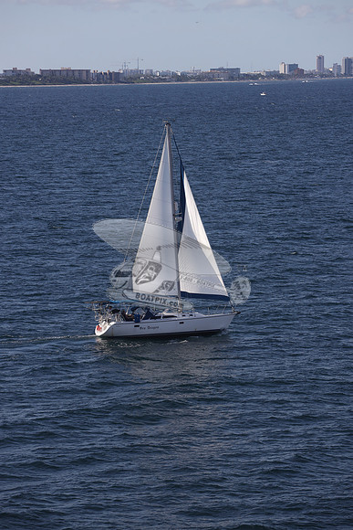 00000.SEA DRAGON.01