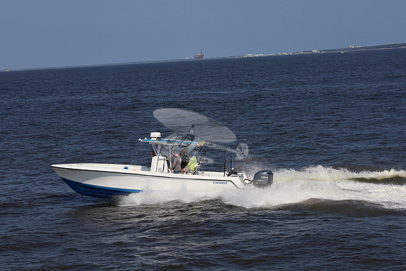 al0065rf.11