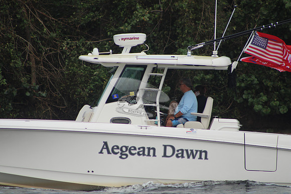 AEGEAN DAWN.511