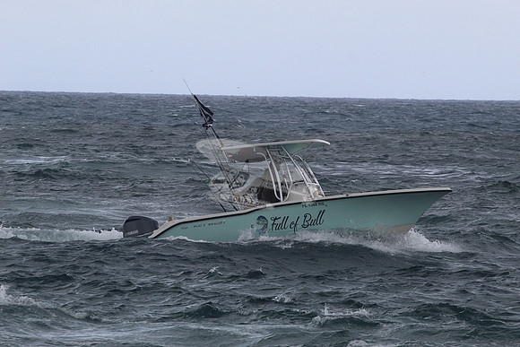 fl1368rs.full of bull.1835