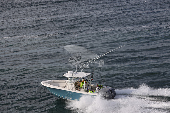 --2871ah.sailfish.blue hull.2783