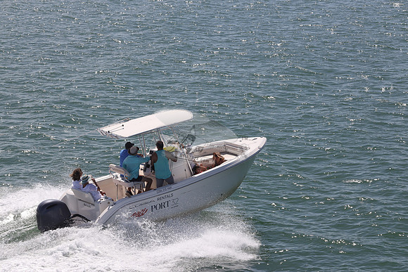 Barracuda.cobia.05