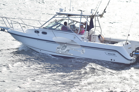 boston whaler.2 merc.2506
