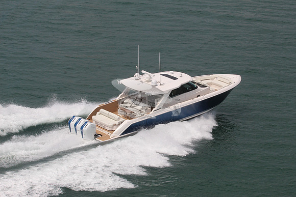 Blue Pearl.boca raton.4