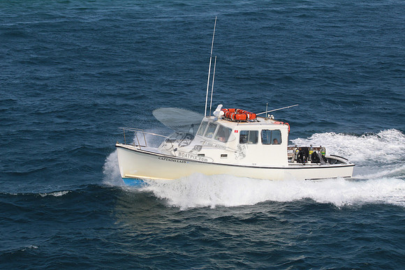 Captains lady.1