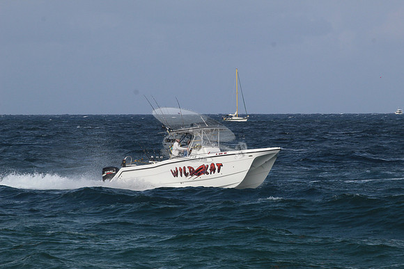 fl5599mu.wild kat.1681