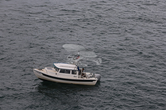 ct7098bm.4