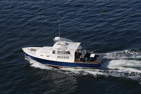 603309.ALI-JCK.09