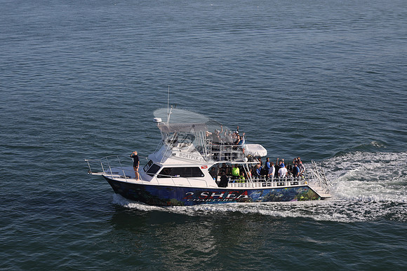 2 shea charters.clearwater fl.0193