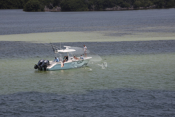 COBIA.2 YAMAHA.9629