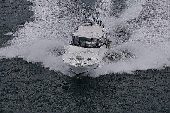 Fired Up Charter.50