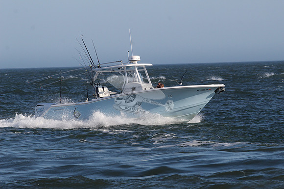 dl4893ak.tidewater.8145
