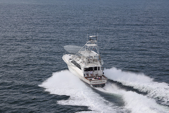 american lady.ocean view de.2190