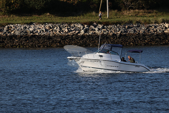 MS7298BA.04