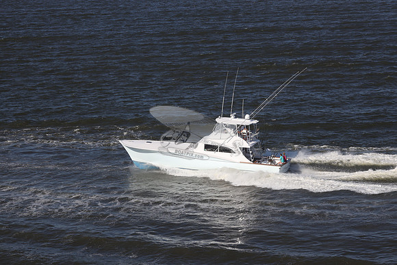 ANNIE O.414