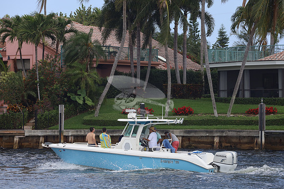 EVERGLADES.BLUE.135